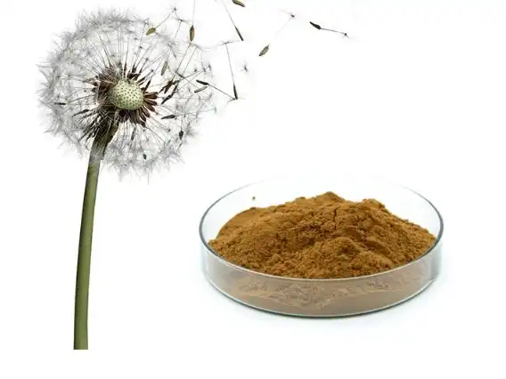 dandelion root extract powder dandelion root extract powder