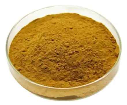 ivy leaf extract