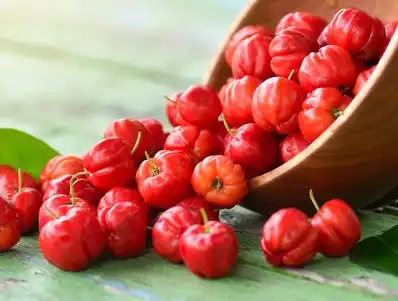 acerola cherry fruit acerola cherry fruit