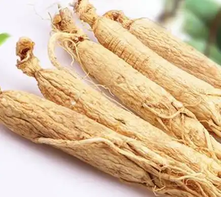 ginseng ginseng