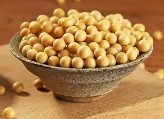 soybean