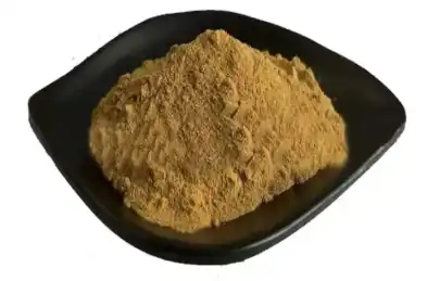 dandelion root extract powder
