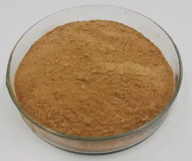 mulberry leaf extract powder