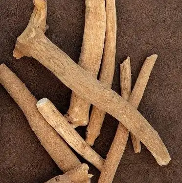  withania somnifera