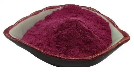 black elderberry extract powder