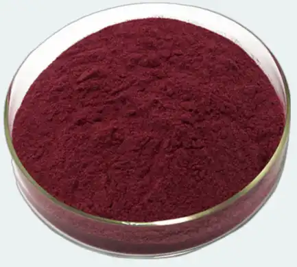 black elderberry extract powder