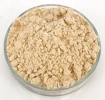 panax ginseng extract powder