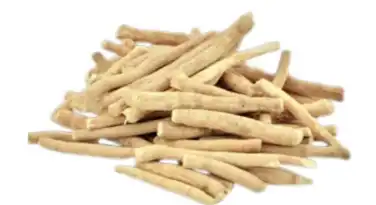 withania somnifera withania somnifera