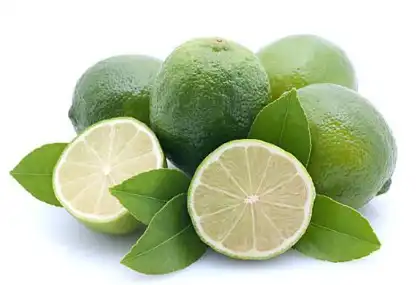 citrus aurantium l