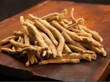withania somnifera