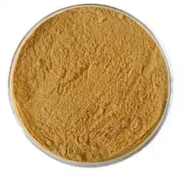 ivy leaf extract