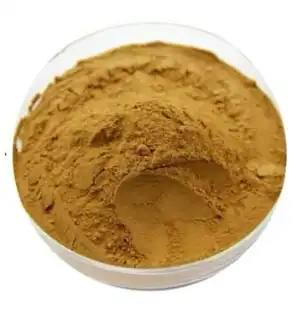 ivy leaf extract