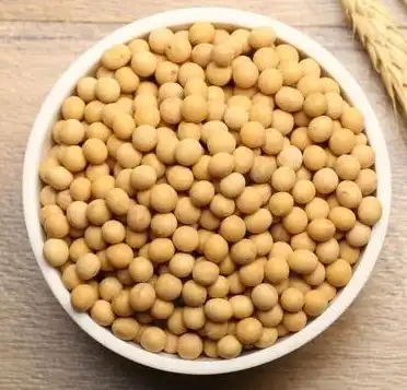 soybean soybean