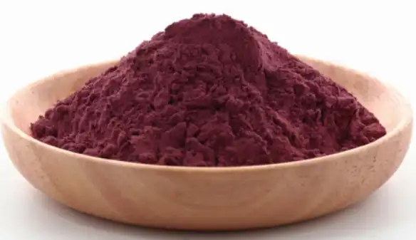 black elderberry extract powder black elderberry extract powder