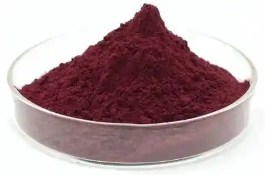 black elderberry extract powder