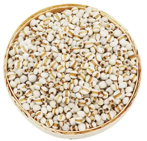 coix seed coix seed