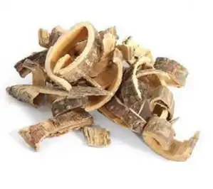 acacia acacia