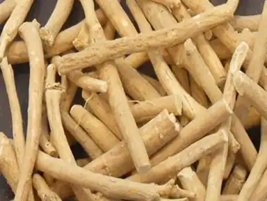 withania somnifera