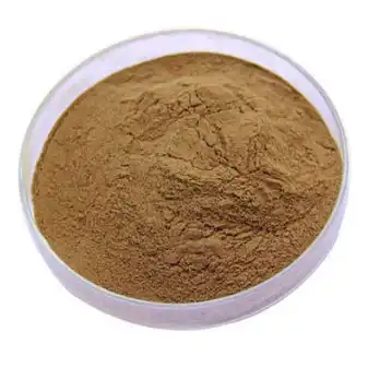 ivy leaf extract ivy leaf extract