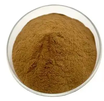 ivy leaf extract