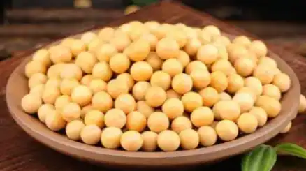 soybean soybean
