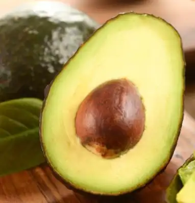 avocado fruit
