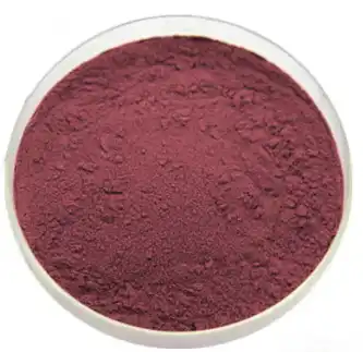 black elderberry extract powder