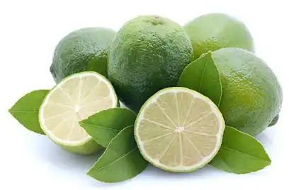 citrus aurantium l
