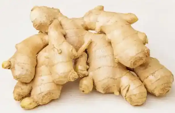 Zingiber officinale Roscoe