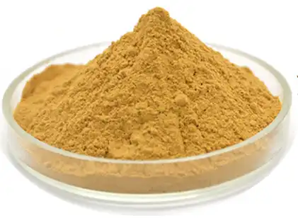 green tea extract powder