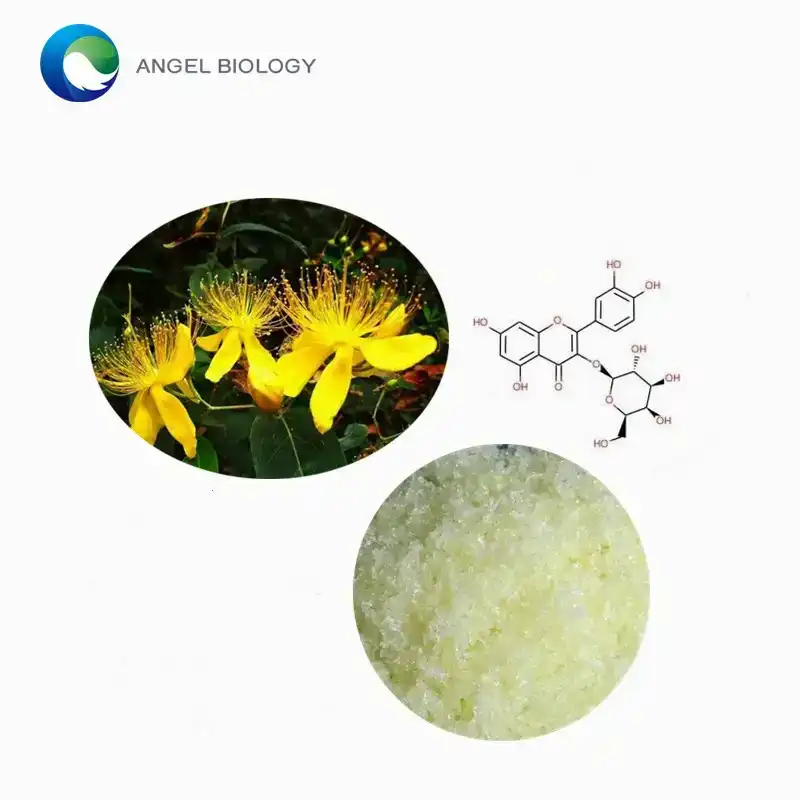 Hyperoside Extraction: Methods & Purity Standards Explained