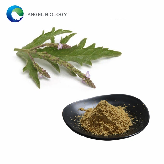 How Do You Take Verbena Extract Powder?