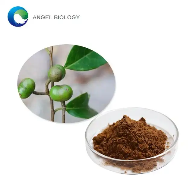 Is Pygeum Bark Extract Powder Suitable for Long-Term Use?