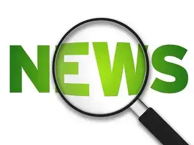 Chinese and Foreign Partners Win Together - International Customers Visit Our Factory and Reach In-depth Cooperation